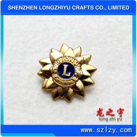 lzy00020131710