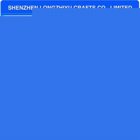 lzy00020131491
