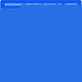 lzy00020131495