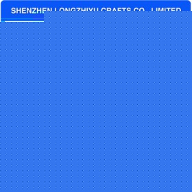 lzy00020131498