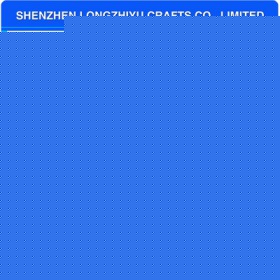 lzy00020131499