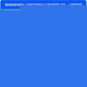 lzy00020131505