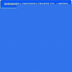 lzy00020131507