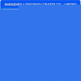 lzy00020131521