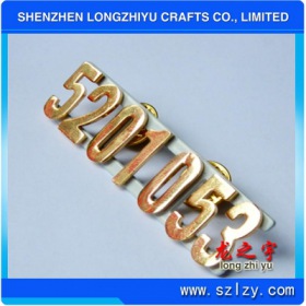 lzy00020131666
