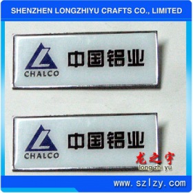 lzy00020131667
